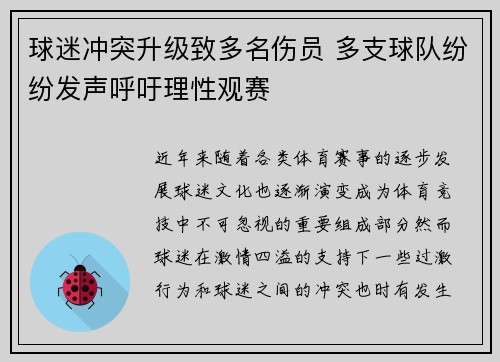 球迷冲突升级致多名伤员 多支球队纷纷发声呼吁理性观赛